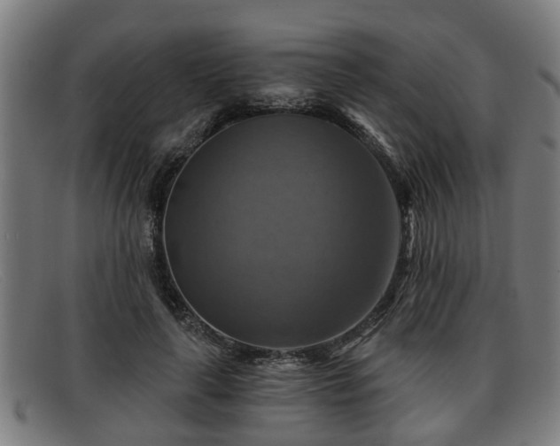 X0000091850643200709121311