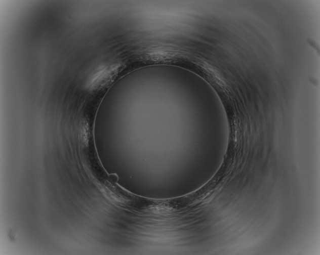 X0000091850644200709121311