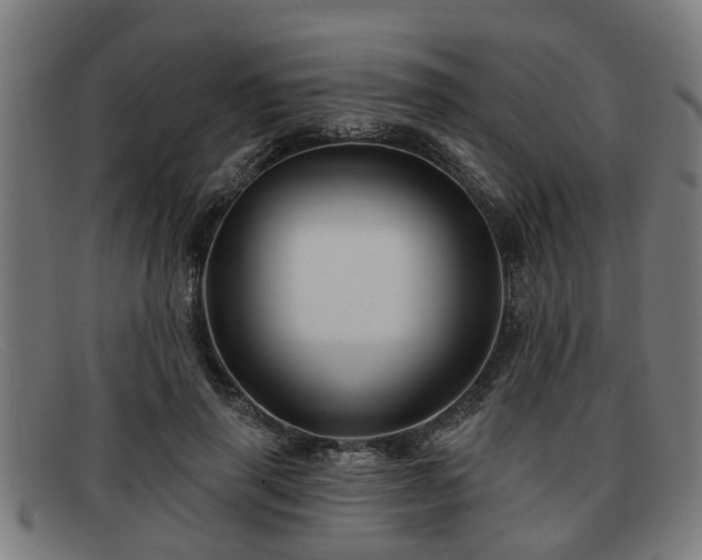 X0000091850645200709121311
