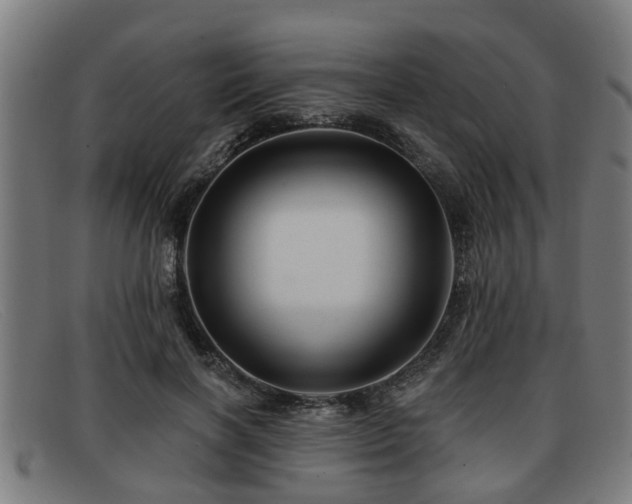 X0000091850646200709121311