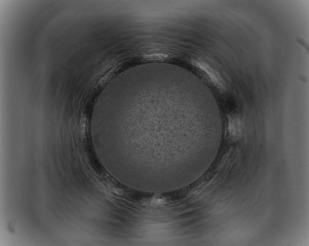 X0000091850647200709121311