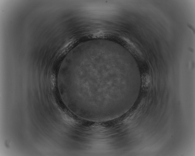X0000091850648200709121311