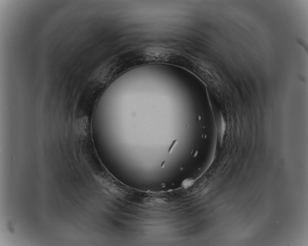 X0000091850649200709121311