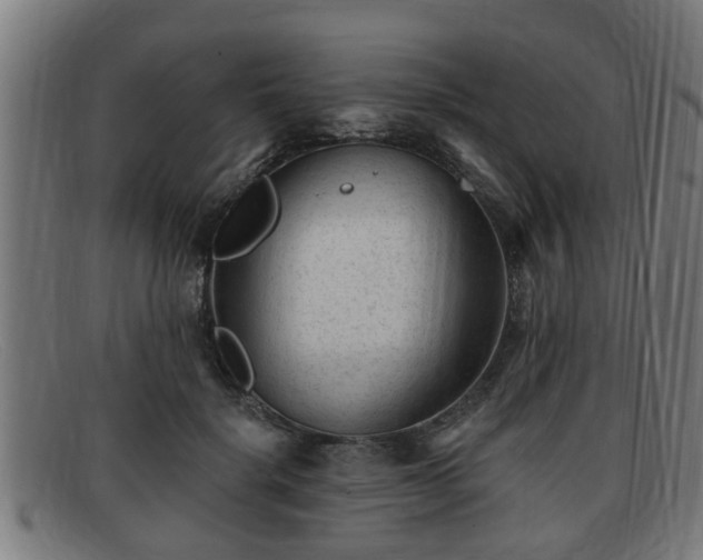X0000091850652200709121311