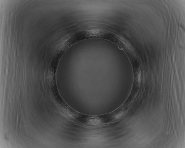 X0000091850653200709121311