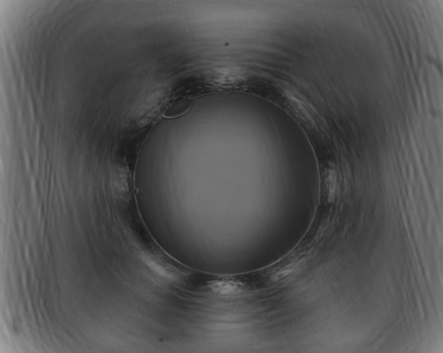 X0000091850654200709121311