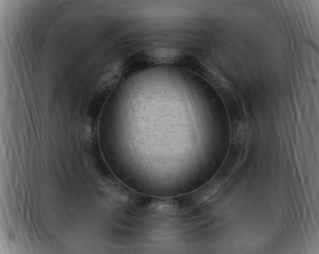 X0000091850655200709121312