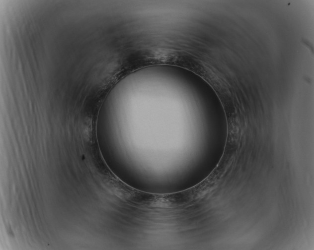 X0000091850656200709121312
