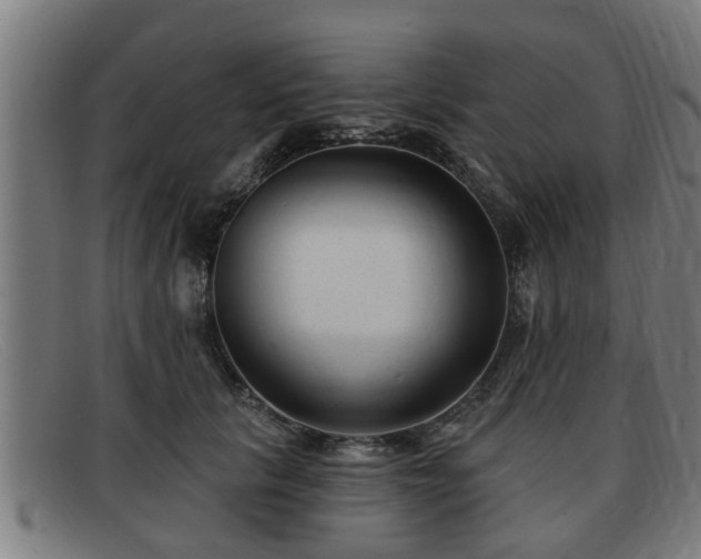 X0000091850657200709121312