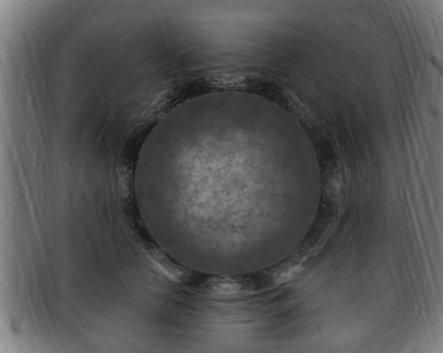 X0000091850658200709121312