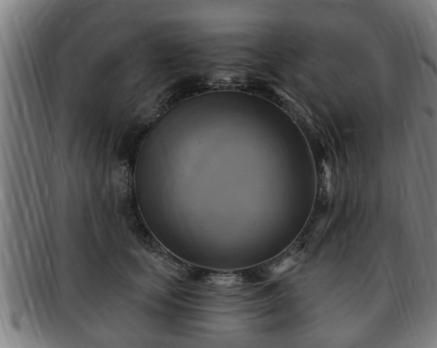 X0000091850659200709121312