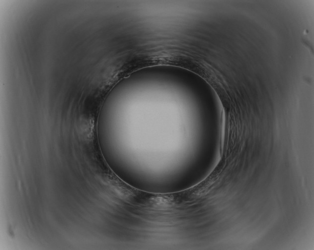 X0000091850660200709121312