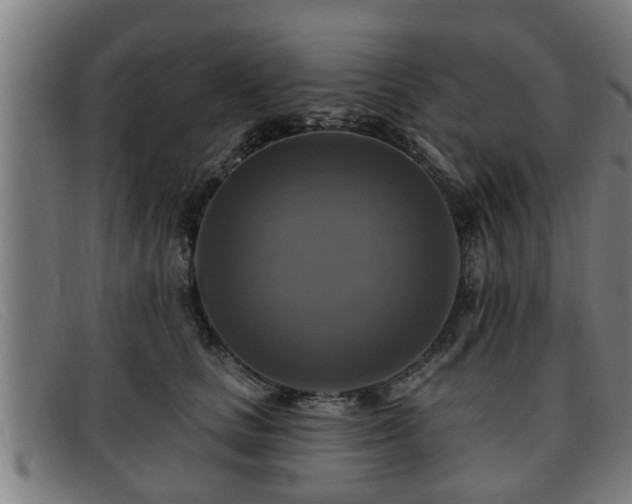 X0000091850661200709121312