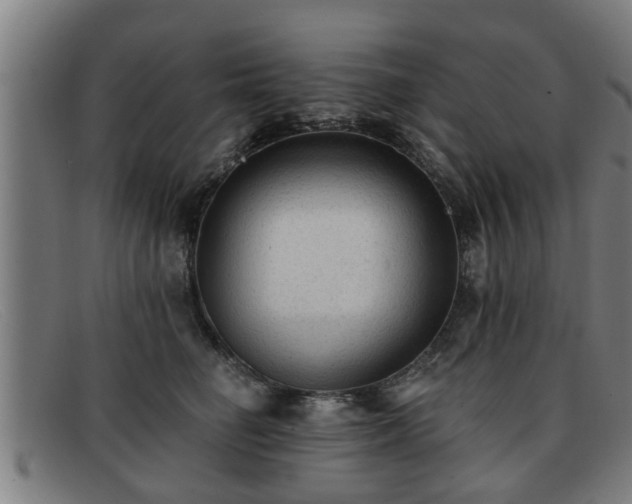 X0000091850662200709121312