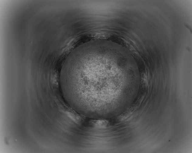 X0000091850663200709121312