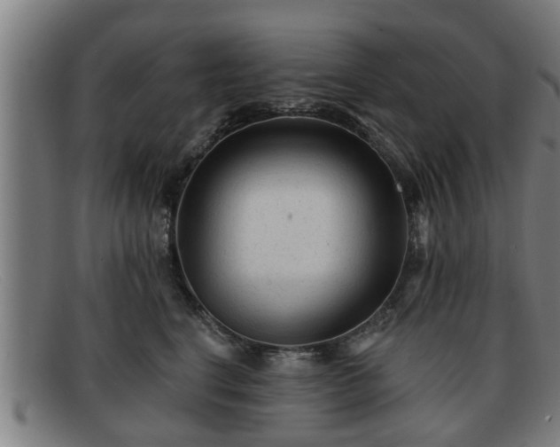 X0000091850664200709121312
