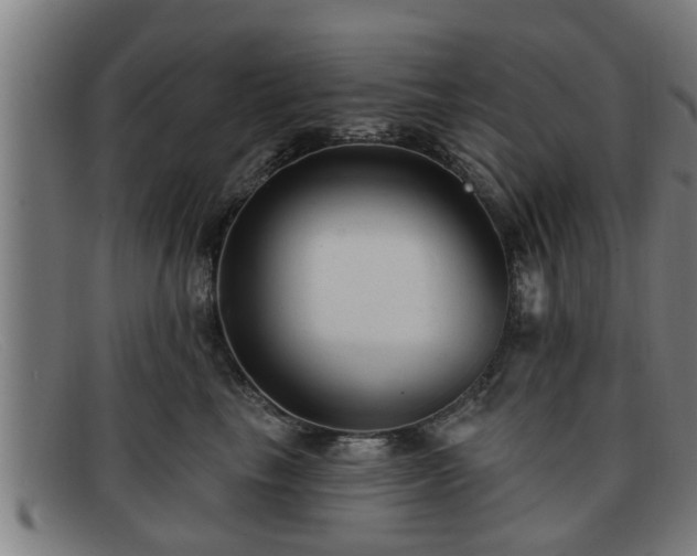 X0000091850665200709121312