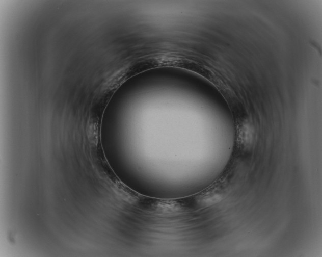 X0000091850666200709121312