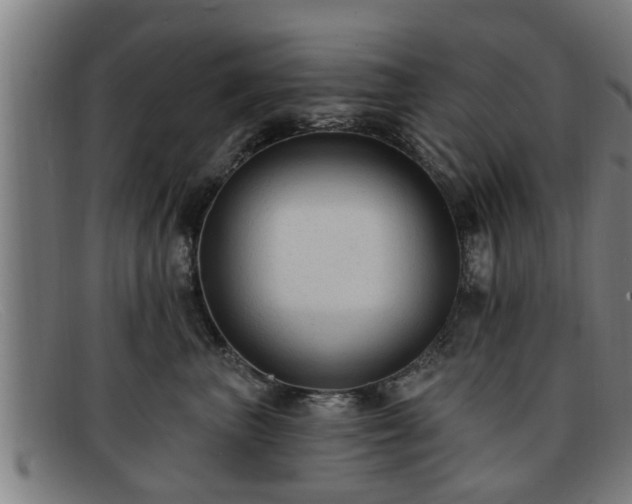 X0000091850667200709121312