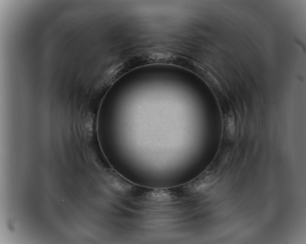 X0000091850668200709121312