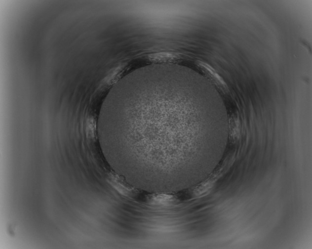 X0000091850669200709121312