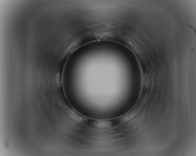 X0000091850670200709121312