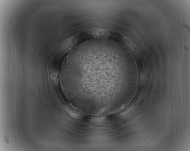 X0000091850671200709121312