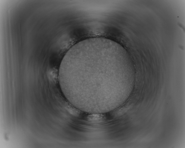 X0000091850672200709121312