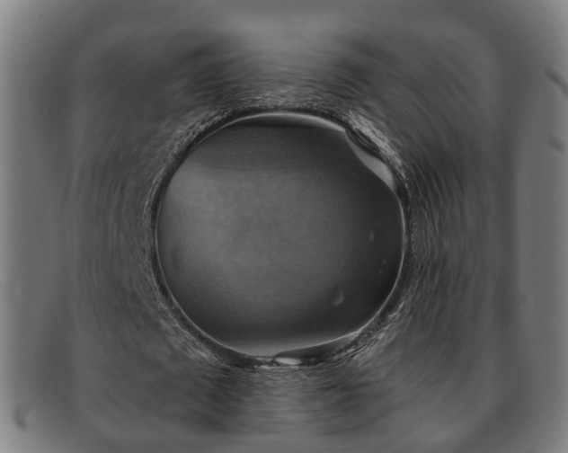 X0000091850673200709121311