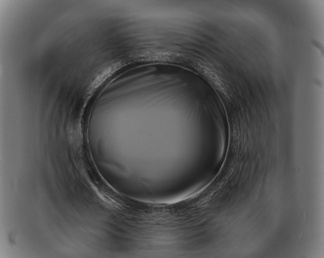 X0000091850674200709121311