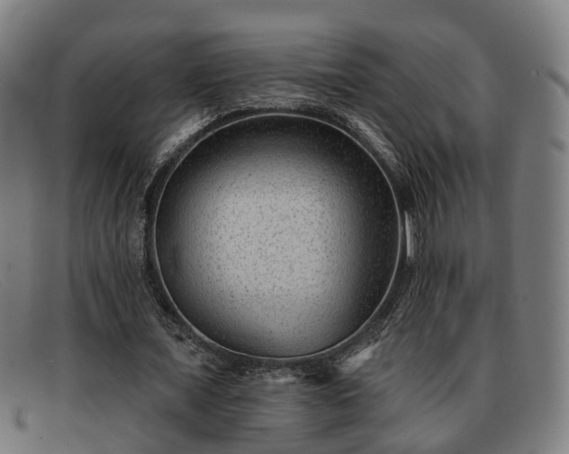 X0000091850675200709121311