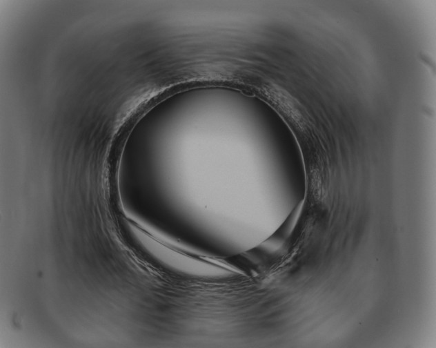 X0000091850676200709121311