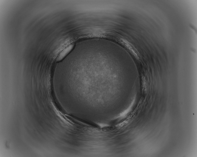 X0000091850677200709121311