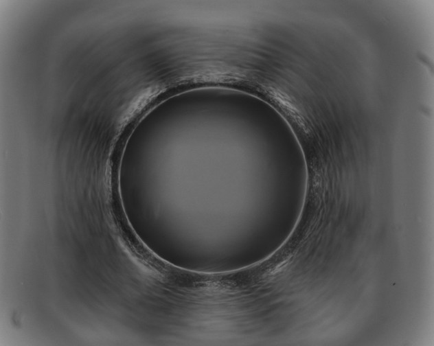 X0000091850678200709121311