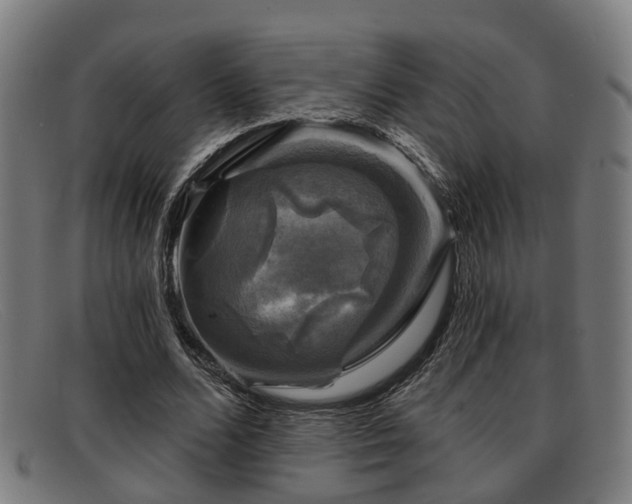 X0000091850680200709121311