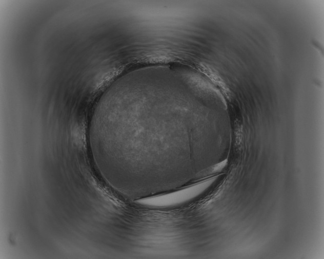 X0000091850681200709121311