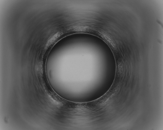 X0000091850682200709121311
