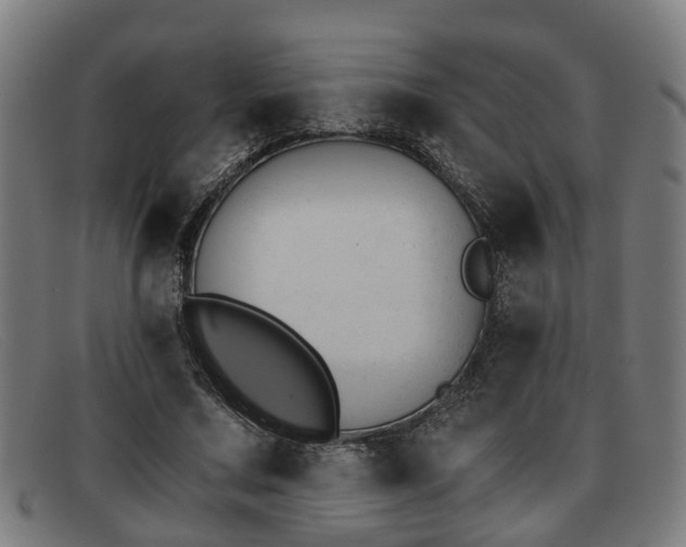 X0000091850683200709121311