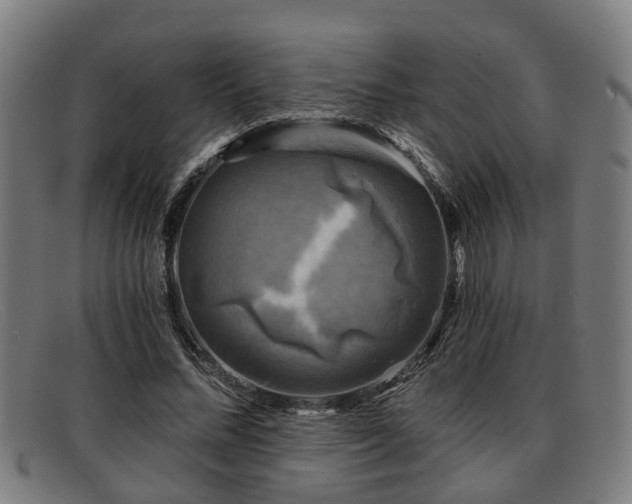 X0000091850684200709121311
