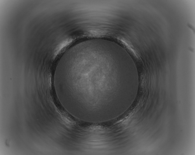 X0000091850685200709121311