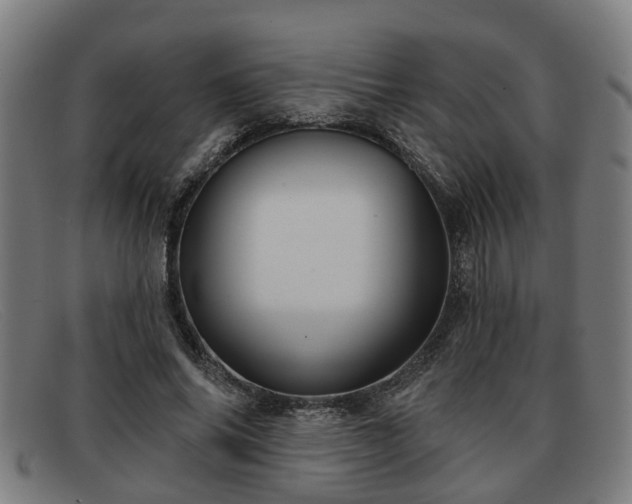 X0000091850686200709121311