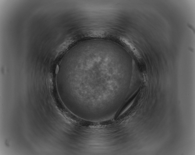 X0000091850688200709121311