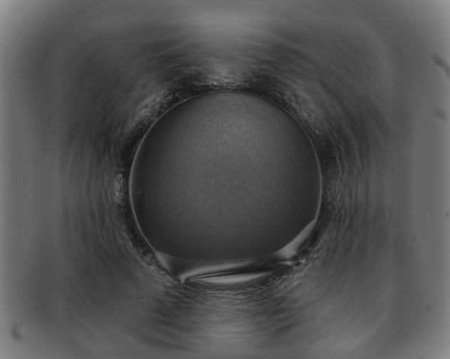 X0000091850689200709121311