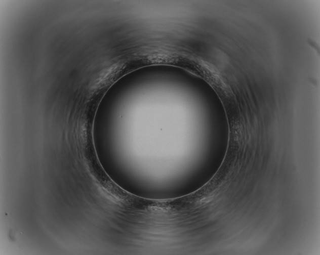 X0000091850690200709121311