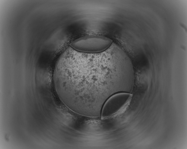 X0000091850691200709121311