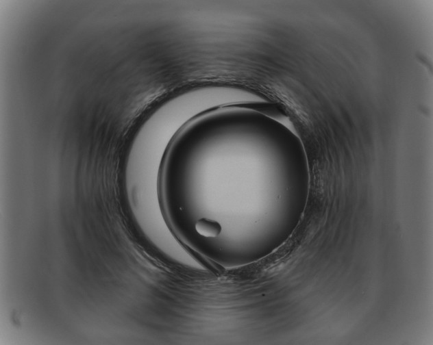 X0000091850692200709121311