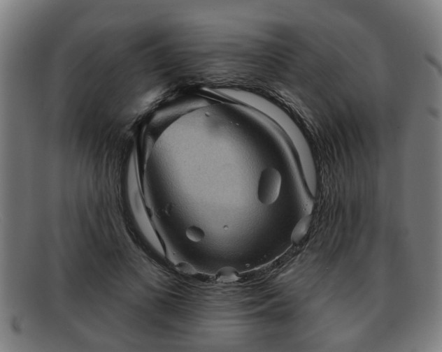 X0000091850693200709121311