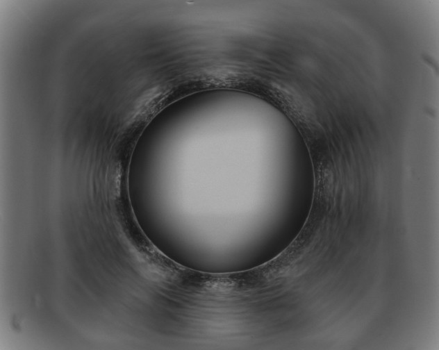X0000091850694200709121311