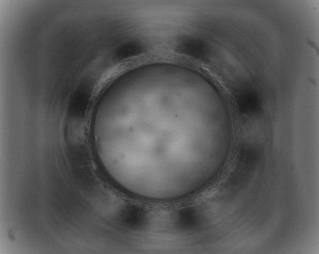X0000091850695200709121311