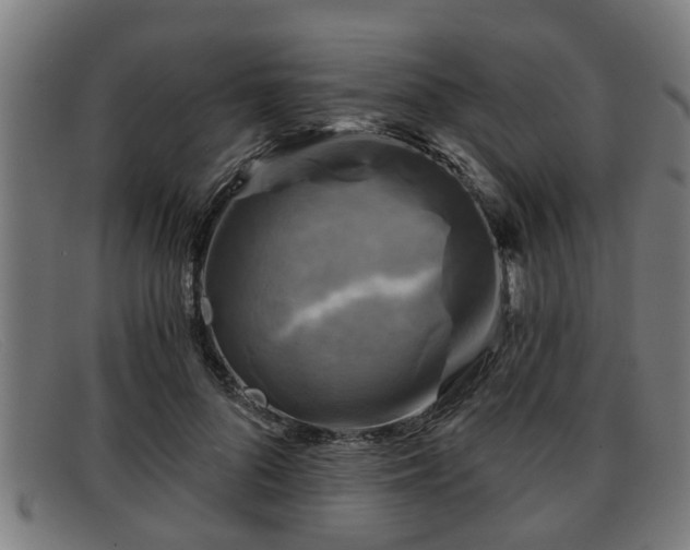 X0000091850696200709121311